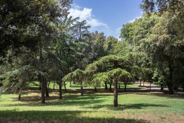 ROME, ITALY - 25 MAYIS 2022 Villa Borghese, Roma, İtalya