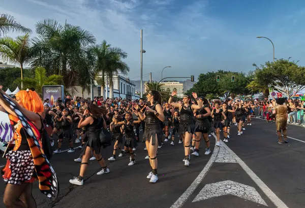 Santa CRUZ DE TENERIFE, İspanya - 13 Şubat 2024: The Coso geçidi, Cavalcada - Avenida de Anaga boyunca, Karnaval 'ın resmi sonu. İnanılmaz sıcak bir akşam, karnaval kostümlü neşeli insanlar eğleniyor..