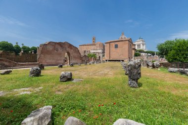 Roma, İtalya - 26 Mayıs 2022: Roma 'daki Arkeoloji Parkı. Colosseum parco