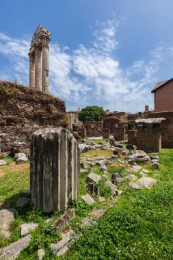 Roma, İtalya - 26 Mayıs 2022: Roma 'daki Arkeoloji Parkı. Colosseum parco