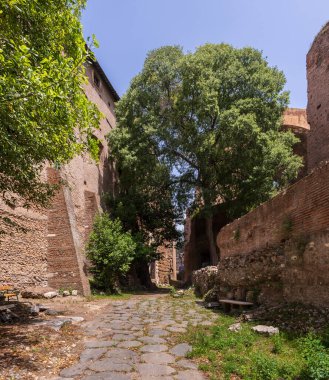 Roma, İtalya - 26 Mayıs 2022: Roma 'daki Arkeoloji Parkı. Colosseum parco