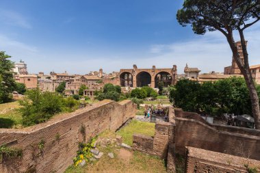 Roma, İtalya - 26 Mayıs 2022: Roma 'daki Arkeoloji Parkı. Colosseum parco