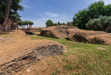 Roma, İtalya - 26 Mayıs 2022: Roma 'daki Arkeoloji Parkı. Colosseum parco