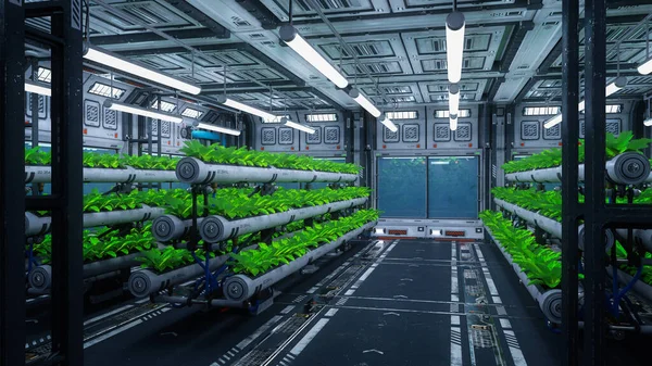 Green Plants Growing Futuristic Space Station Ship Science Fiction Interior — Stock Photo, Image