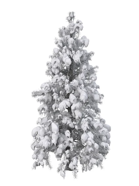 Abeto Cubierto Nieve Invierno Ilustración Aislada — Foto de Stock