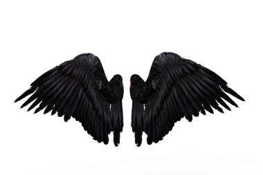 Kara şeytan ya da melek kanatları. 3B görüntüleme şeffaf arkaplanda izole edildi.