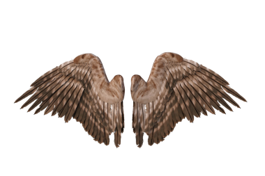 Açık melek ya da şeytan kanatları. 3B görüntüleme şeffaf arkaplanda izole edildi.