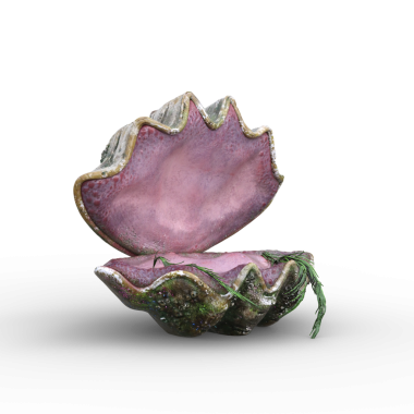 Fantazi dev deniz kabuğu deniz kızı koltuğu gibi açılıyor. 3B görüntüleme izole edildi.