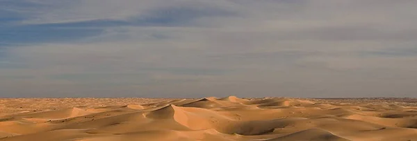 beautiful landscape of the desert in the sahara, the sand dunes, the view of the namib naukluft,