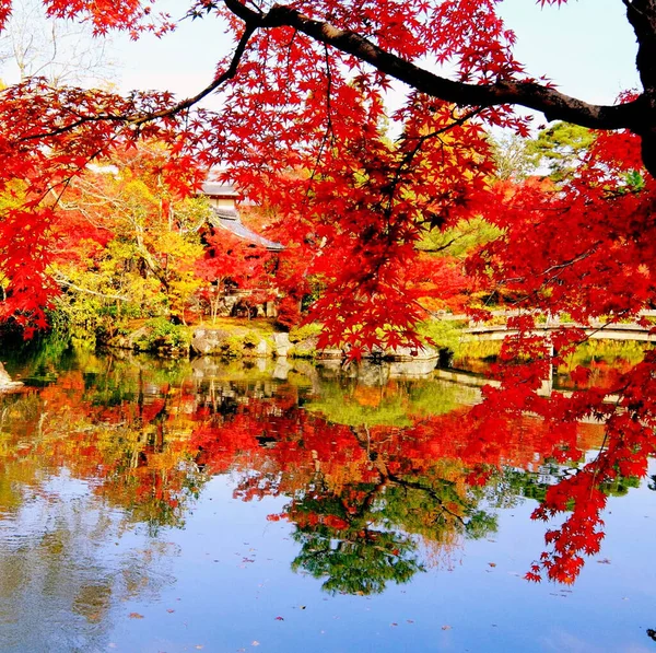 Beautiful Eikando autumn pictures