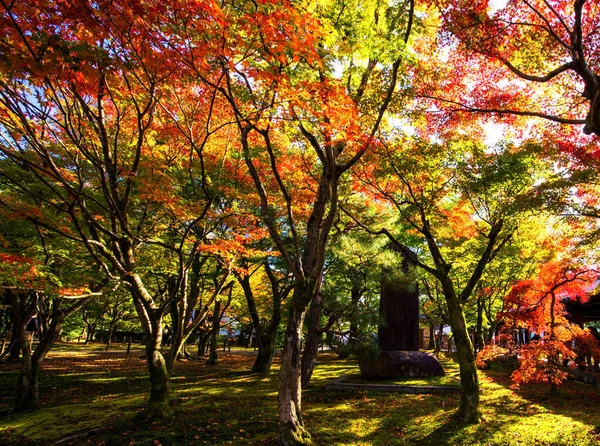 Beautiful Tofukuji autumn pictures