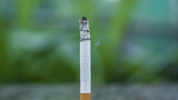 Detaillierte Ansicht Des Zeitrahmens Brennender Zigaretten Tabakrauchsucht Ungesunder Lebensstil — Stockvideo