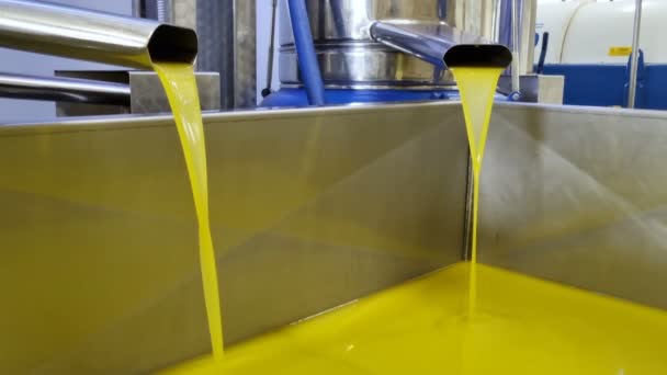 Industria Del Molino Aceite Oliva Proceso Máquina Extracción Flujo Líquido — Vídeos de Stock