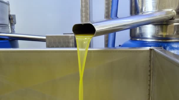 Olivenöl Mühle Industrie Extraktionsmaschine Verfahren Extra Natives Gesunde Lebensmittelzutaten — Stockvideo