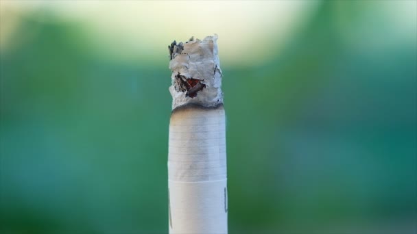Visão Detalhada Queima Cigarro Timelapse Vício Fumo Tabaco Estilo Vida — Vídeo de Stock