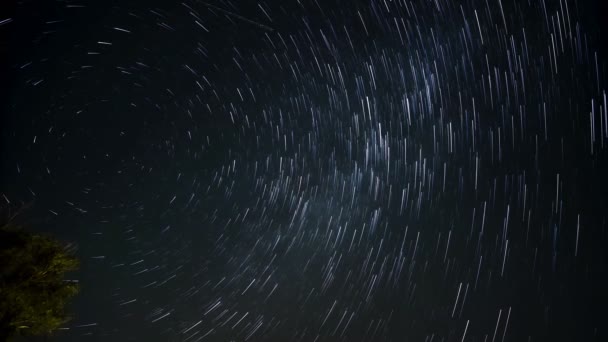 Движение Звездному Следу Силуэтом Дерева Ночным Звездным Небом Глубокая Вселенская — стоковое видео