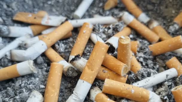 Cigarette Butts Trashed Tobacco Waste Bin Smoke Addiction Unhealthy Lifestyle — Stock Video