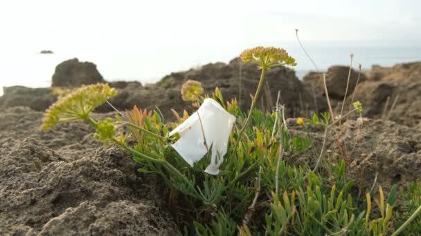 Plastic Cup Discarded Sea Fennel Plants Ecosystem Environmental Waste Pollution — Stock Video