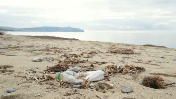 Vrijwilligerswerk Pikt Plastic Flesje Van Vuil Zee Ecosysteem Milieu Vervuilt — Stockvideo