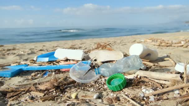 Odpady Tworzyw Sztucznych Zanieczyszczone Ekosystemem Wybrzeża Morskiego Zanieczyszczenie Środowiska Naturalnego — Wideo stockowe