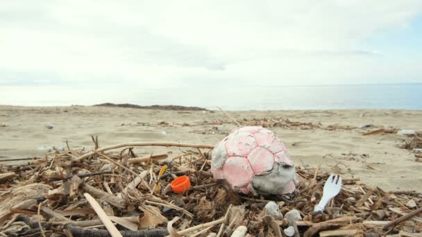 Dobrovolník Sbírá Plasty Špinavého Mořského Ekosystému Znečištění Životního Prostředí — Stock video