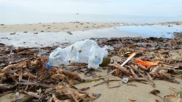 Plastic Debris Dump Pollution Sea Coast Ecosystem Storm Environment Nature — Stock video