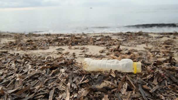 Человеческая Нога Волком Над Пластиковой Бутылкой Выброшенной Морском Побережье Экосистемы — стоковое видео