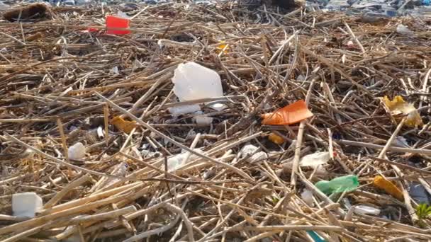 Residuos Plásticos Desechados Contaminación Basura Después Tormenta Mar Residuos Naturaleza — Vídeos de Stock