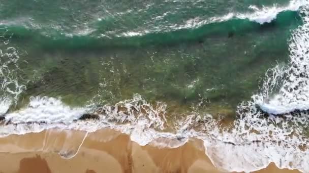 Top Widok Drona Czyste Fale Morskie Rozbijając Się Piaszczystym Wybrzeżu — Wideo stockowe