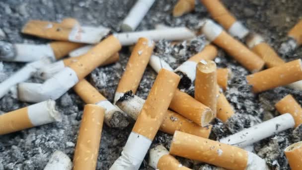Niedopałki Papierosów Zdemolowane Koszu Odpady Tytoniowe Uzależnienie Dymu Niezdrowy Styl — Wideo stockowe