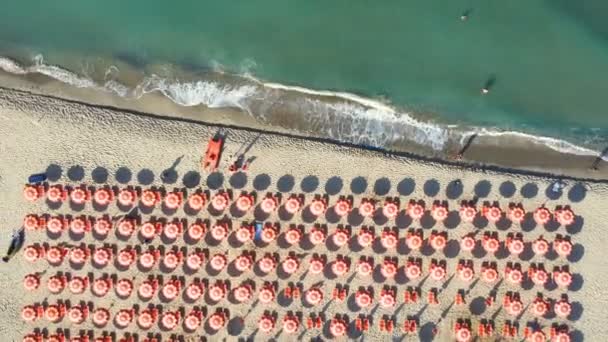 Yaz Mevsimi Boyunca Plaj Şemsiyelerinin Üst Hava Manzarası Doğa Drone — Stok video