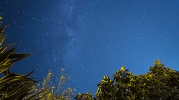 Gwiaździste Konstelacje Drogi Mlecznej Ruch Obroty Pola Wszechświata Głębokim Nocnym — Wideo stockowe