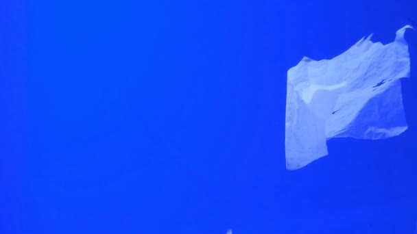 Residuos Plásticos Subacuáticos Flotando Ecosistema Marino Contaminado Contaminación Ambiental — Vídeo de stock