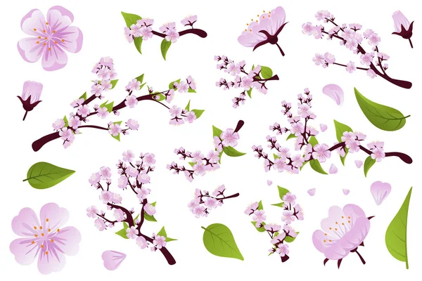 Set Branch Sakura Flowers Leaves Spring Sakura Cherry Blooming Flowers — Vettoriale Stock