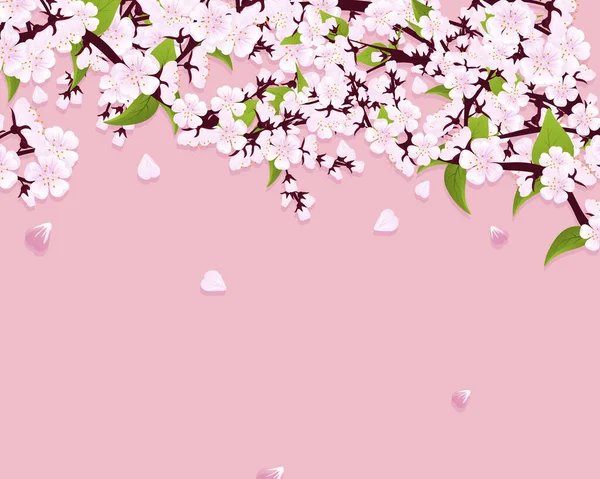 Flor Cerezo Primavera Rama Sakura Primavera Con Pétalos Que Caen — Vector de stock