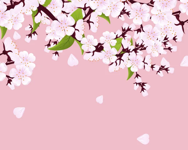 Tavaszi Cseresznyevirág Sakura Tavasszal Hulló Szirmokkal Virágzik Cseresznyevirág Tavaszi Virágok — Stock Vector