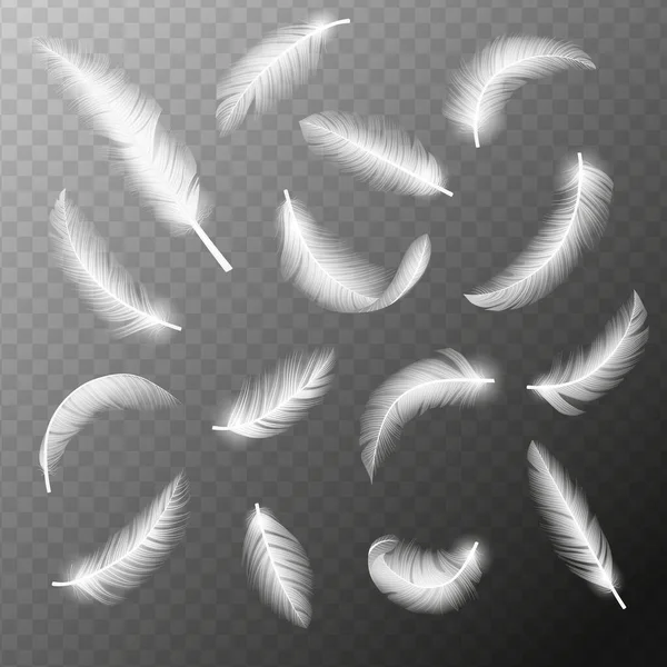 Ιπτάμενα Φτερά Πτώση Στροβιλίζεται Αφράτη Ρεαλιστική Λευκό Κύκνο Περιστέρι Φτερά — Διανυσματικό Αρχείο