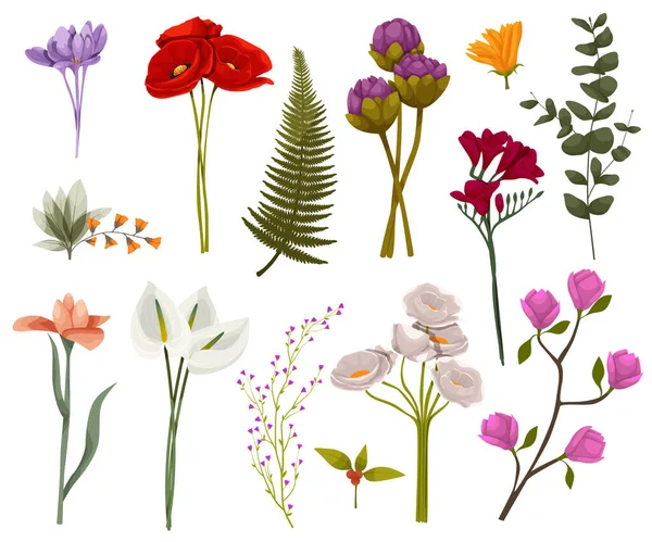 Establecer Acuarela Botánica Flor Elementos Florales Ramas Hojas Hierbas Plantas — Vector de stock