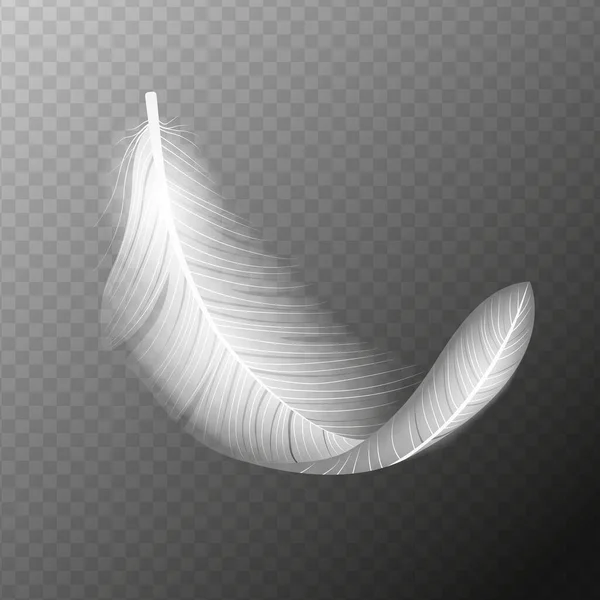 Pluma Blanca Flying Realista Vector Pluma Blanca Ilustración Vectorial Aislada — Vector de stock