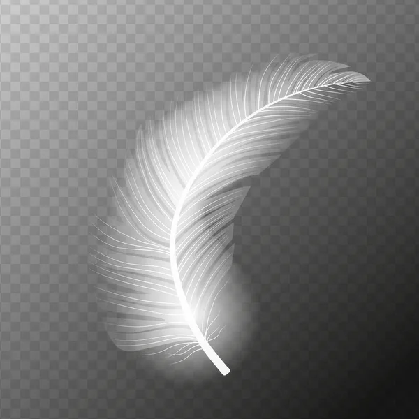 白色羽毛 飞现实的矢量白色羽毛 孤立矢量图Eps10 — 图库矢量图片