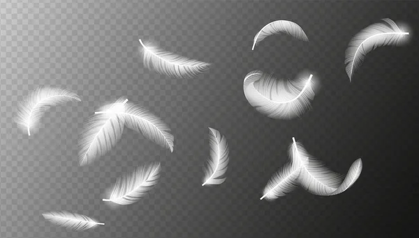 飞的羽毛 掉落的螺旋状绒毛现实的白天鹅 鸽子或天使翅膀羽流 鸽子羽毛纹理下降的真实感3D矢量图解 — 图库矢量图片
