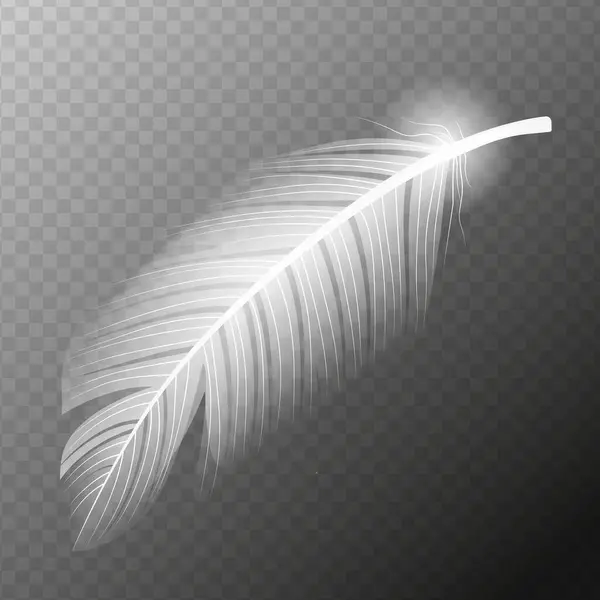 White Feather Flying Realistic Vector White Feather Isolated Vector