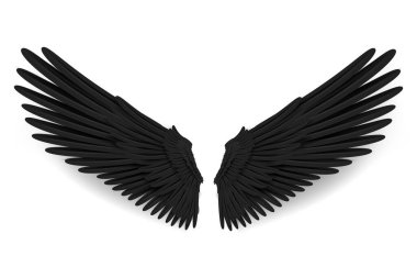 Gerçekçi kara kanatlar. Melek siyah kanatları ya da kuş kanadı. 3B kuş kanatları tasarım şablonu.