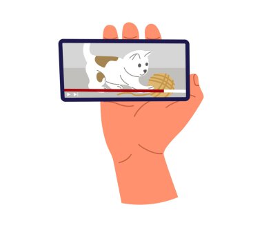 Cep telefonu ekranından video izliyorum. Podcast, haber, online video izleme, talk show, TV uygulaması, canlı yayın. El ele tutuşan telefon