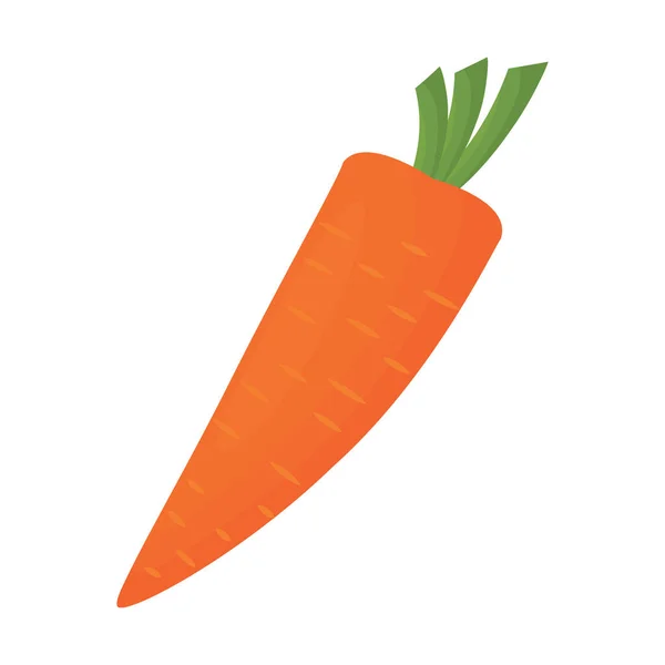 Icono Vegetal Zanahoria Color Aislado Ilustración Vectorial — Vector de stock