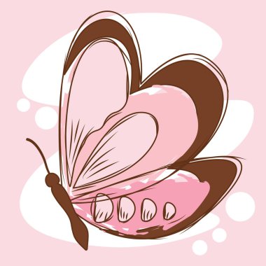 Ayrıntılı bir kelebek vektörü illüstrasyonunun izole edilmiş renkli çizimi