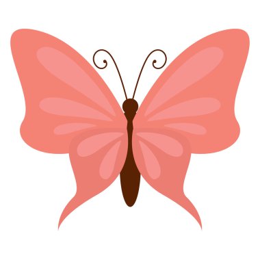 İzole edilmiş renkli kelebek böcek hayvan ikonu Vektör illüstrasyonu