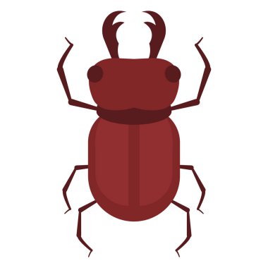 İzole edilmiş renkli böcek böcek hayvan simgesi Vektör illüstrasyonuName