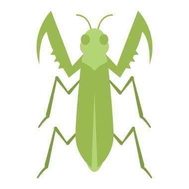 Ayrı renkte grøooper böcek hayvan ikonu Vektör illüstrasyonuName