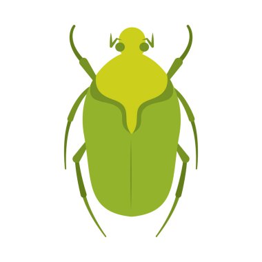 İzole edilmiş renkli böcek böcek hayvan simgesi Vektör illüstrasyonuName